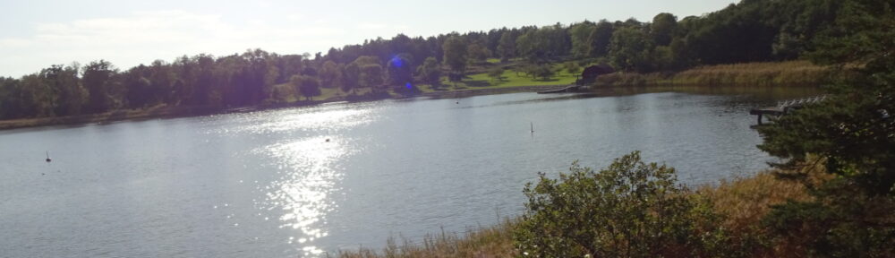 Aspvik